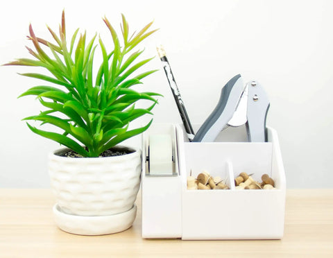 EZ Squeeze One-Hole Paper Punch Pack of 3, 10 Sheet Capacity with ergonomic grip and no jam tech in desk organizer next to plant