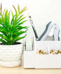 Pack Of 5 EZ Squeeze One-Hole Punch Set With 10 Sheet Capacity in organizer next to a plant on a desk