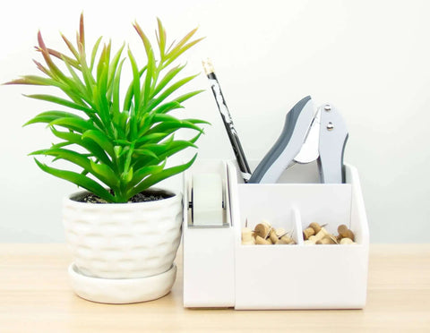 Pack Of 5 EZ Squeeze One-Hole Punch Set With 10 Sheet Capacity in organizer next to a plant on a desk