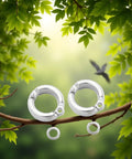 2 Pack Silver Parrot Foot Rings For Small To Medium Birds, Durable Metal Leg Bands With Opening Clip, 5.5mm Inner Diameter on branch