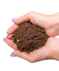 Hands holding Monstera Deliciosa Potting Soil With Quick Drain For Healthy Roots And Prevents Brown Spots And Root Rot Ideal For Repotting Swiss Cheese Plant 2 Quart Bag