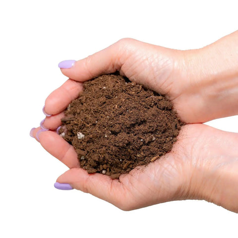 Hands holding Monstera Deliciosa Potting Soil With Quick Drain For Healthy Roots And Prevents Brown Spots And Root Rot Ideal For Repotting Swiss Cheese Plant 2 Quart Bag