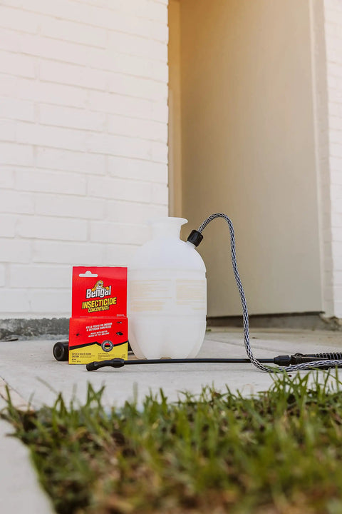 Indoor Outdoor Bug Killer Concentrate with sprayer by a doorway, kills roaches, termites, carpenter ants, bees, and more pests