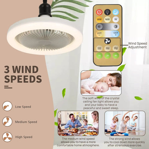 Tiny 10 Inch Ceiling Fan With Light Remote Control Three Speeds And Three Color Dimming Plug In Ceiling Fan For Garage Tool Room And Store Room A Practical Family Summer Gift showcased with remote and speed settings.