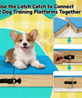 Puppy on Connectable Wooden Dog Training Boards Set Two Piece Platform With Non Slip Bright Blue Top