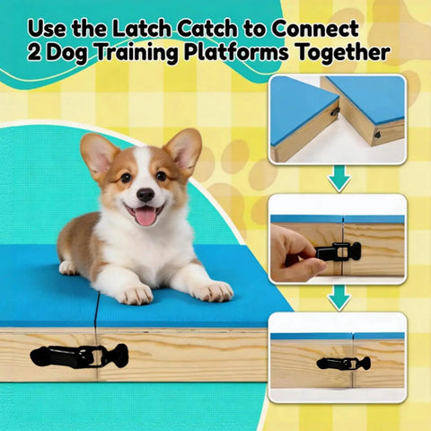 Puppy on Connectable Wooden Dog Training Boards Set Two Piece Platform With Non Slip Bright Blue Top