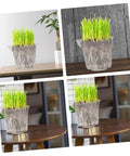 4 Pack Self Watering Flower Pots With Automatic Water Absorbing Design Easy Maintenance Planters For Healthy Plants Ideal Indoor Garden Pots For Home Office Or Apartment Decor, transparent plastic