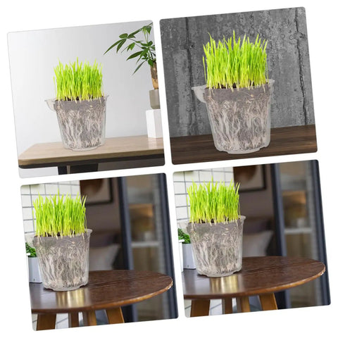 4 Pack Self Watering Flower Pots With Automatic Water Absorbing Design Easy Maintenance Planters For Healthy Plants Ideal Indoor Garden Pots For Home Office Or Apartment Decor, transparent plastic