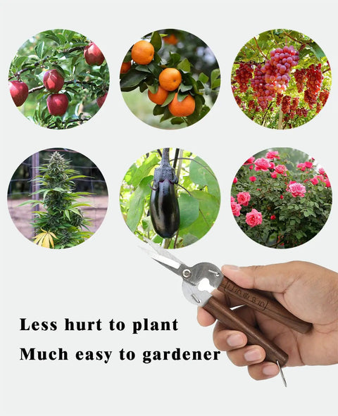Hand holding Razor Sharp Pruning Shears For Gardening With Carbon Steel Blade And Walnut Wood Handle, images of fruits and flowers