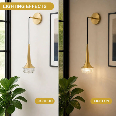 XYDikssn Gold Wall Sconce, Hardwired Wall Light with Brushed Brass and Clear Ribbed Glass Shade, modern hanging wall lamp with light on and off.
