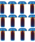Titanium M5x10 Bolts 12 Pack Burnt Blue PVD Coated T25 Screws For Bike Disc Brakes And MTB Maintenance Lightweight Ride Ready