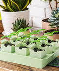 Seed Starter Tray With Deep 2.3 Inch Cells And Dual Handles That Double As Labels 9 Cell Germination Kit in home setting