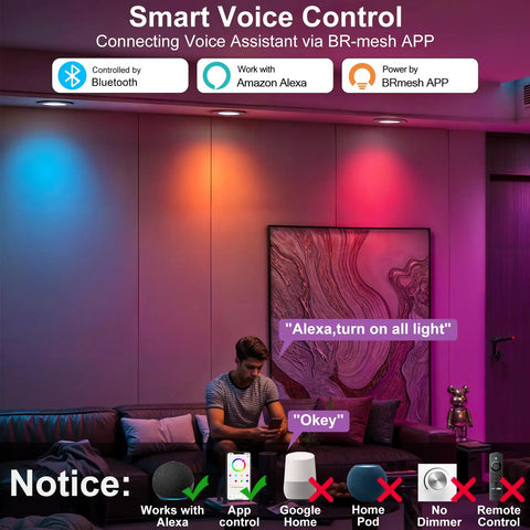 Living room with Color Changing 4 Inch RGBCW LED Recessed Ceiling Lights 12W Canless Downlight showing voice control setup.
