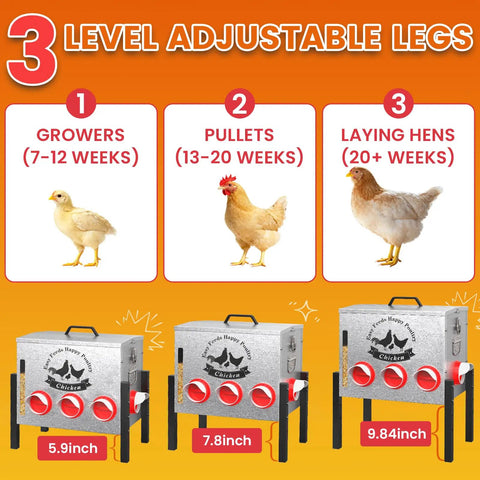 Infographic showing 3 levels of adjustable legs for Heavy Duty Automatic Chicken Feeder With Clear Window And Eight Wide Ports For Zero Mess Coop Care Built Tough As Nails From Rust Proof Steel With Leveling Feet And Locking Lid Keeps Your Flock Fed Without A Sweat.