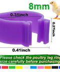 Colorful 8mm Bird Leg Bands Set 200 Pieces With 10 Vivid Colors Clip On Identification Tags For Pigeons Quail Lovebirds Finch And Small Poultry