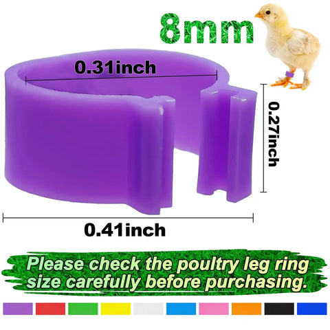 Colorful 8mm Bird Leg Bands Set 200 Pieces With 10 Vivid Colors Clip On Identification Tags For Pigeons Quail Lovebirds Finch And Small Poultry