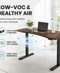 63 By 30 Inch Heavy Duty Dual Motor Electric Standing Desk Slick Curve Top, featuring non-toxic materials and healthy air benefits.