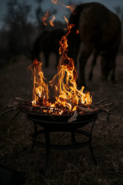 22 Inch Outdoor Wood Burning Fire Pit With Mesh Lid And Fire Picker Durable Alloy Steel Pit For Backyard Porch Deck Camping And BBQ