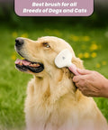 Small Slicker Brush For Dogs And Cats, Skin Friendly Deshedding Tool For Healthy Coats, Gentle Undercoat Groomer For Short And Long Haired Pets, Durable Stainless Pins, Perfect For Sensitive Pups. White and pink slicker brush being used on a golden dog outdoors.