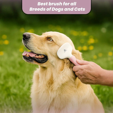Small Slicker Brush For Dogs And Cats, Skin Friendly Deshedding Tool For Healthy Coats, Gentle Undercoat Groomer For Short And Long Haired Pets, Durable Stainless Pins, Perfect For Sensitive Pups. White and pink slicker brush being used on a golden dog outdoors.