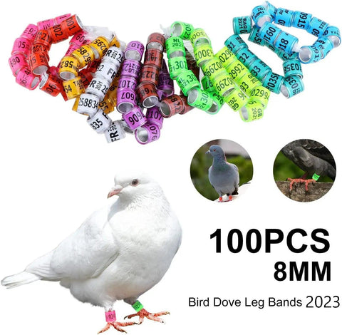 2026 Pigeon Leg Rings Set Of 100 Aluminum 8mm Numbered Bird Bands with colorful plastic rings and a white pigeon