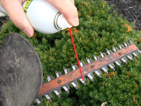 Applying Green Wonder 300 Ml Plant Based Aerosol Cleaner And Lubricant For Doors Locks Hinges Chains And Valves