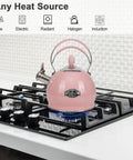 Stainless Steel Whistling Tea Kettle for Stovetop and Induction, 2.6 Quart Teakettle on gas burner, pink finish, ergonomic handle