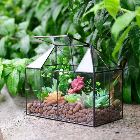 Glass Terrarium House Planter With Swing Lid For Succulents And Small Plants, Modern Glass Greenhouse Habitat, Black Accent, Totally Perfect For Moss, Ferns, Cacti, And Venus Flytrap, 9.8 By 7.9 By 5.9 Inches