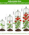 2 Pack Garden Obelisk Trellis For Climbing Plants 71 Inch Adjustable Height showing height variations for plant support