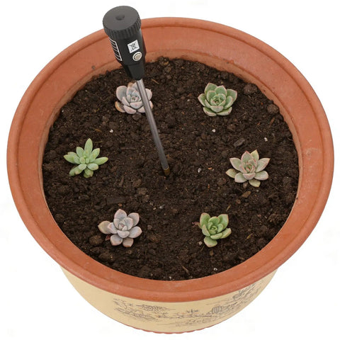 2-In-1 Soil Moisture Meter And PH Tester With A 12 Inch Probe in a pot with succulents, showing garden use for indoor and outdoor plants.
