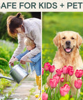 All Natural Insect And Fungicide For Plants Indoor And Outdoor Protection Against Powdery Mildew Spider Mites Aphids Whiteflies And Fungus Gnats Safe For Vegetables And Lawns Concentrate Spray 16 Oz with child watering plants and dog in garden
