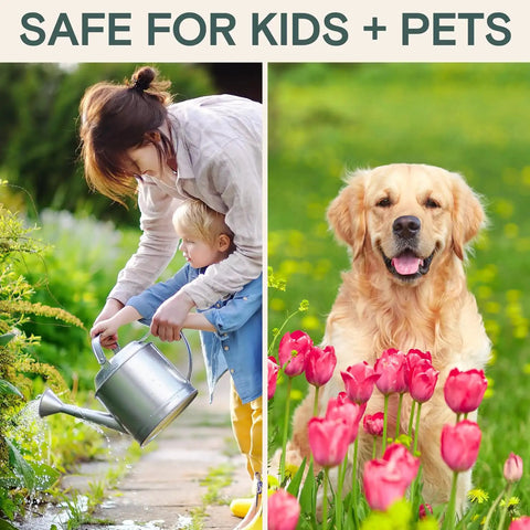 All Natural Insect And Fungicide For Plants Indoor And Outdoor Protection Against Powdery Mildew Spider Mites Aphids Whiteflies And Fungus Gnats Safe For Vegetables And Lawns Concentrate Spray 16 Oz with child watering plants and dog in garden