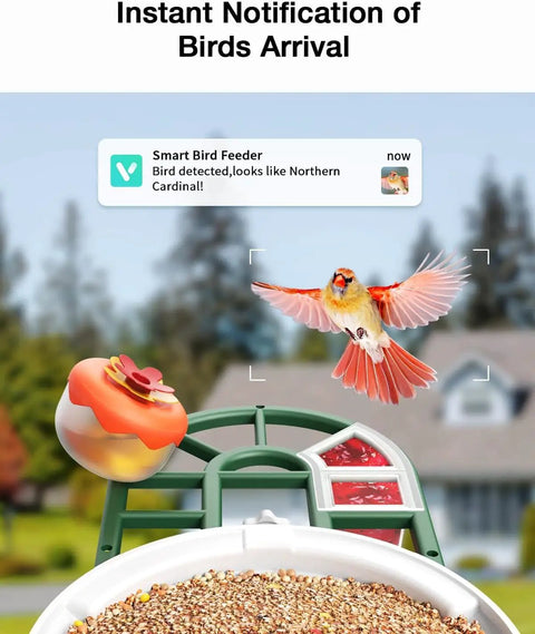Solar Powered Bird Feeder With Camera, 2K Live Feed, Smart AI Bird Recognition, 2L Seed Capacity, Auto Captured Videos, Real Time Alerts, Outdoor Backyard Hummingbird Feeder, capturing a bird in flight.