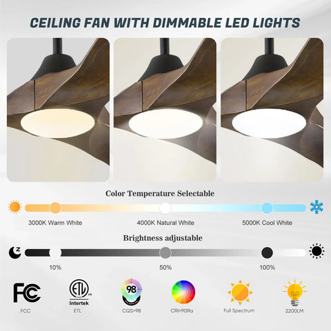 52 Inch Smart Outdoor Ceiling Fan with lights demonstrating color temperature and dimmable LED options