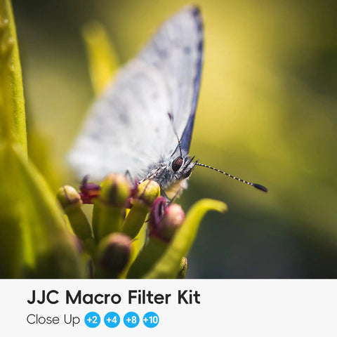 Butterfly captured with 58mm Macro Close-Up Filter Set With +2 +4 +8 +10 Diopters For Close-Up Photography, includes pouch.
