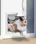Heavy Duty Dog Door With Three Flap Design And Rust Proof Aluminum Frame For Smooth Indoor Outdoor Pet Access Built Dang Tough for jumping dog