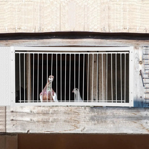Racing Birds House Door Reinforced Movable Cage Entrance For Training Easy Install Bird Cage Door with pigeons visible