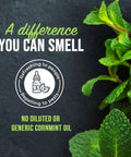Natural Peppermint Bug Spray For Dogs And Cats Kickin Fleas And Ticks Away Safe For Kids And Pets Badass Natural Protection Allergen Free Garden Patio Defense 16 Ounce with mint leaves and pest protection label.