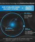 Diagram explaining stabilized nano delivery system in calcium supplement, featuring mineral absorption sizes for cells and minerals.