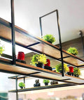 Dope Hanging Wine Glass Rack Ceiling Mount With Black Bracket And Wooden Shelf, Vintage Bottle Holder with plants.