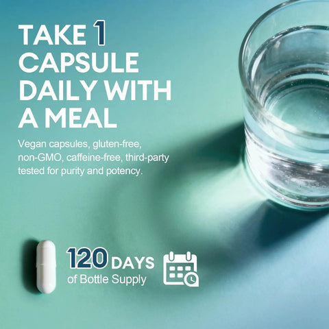 Image showing a single capsule next to a glass of water, with text emphasizing daily intake. 7 In 1 Brain Boost Stack With Magnesium Glycinate And Lithium Orotate 10 Mg Ashwagandha NAC And Omega 3 For Mood Boost Focus Memory Support Non GMO Vegan Capsules is suggested for a 120-day supply.