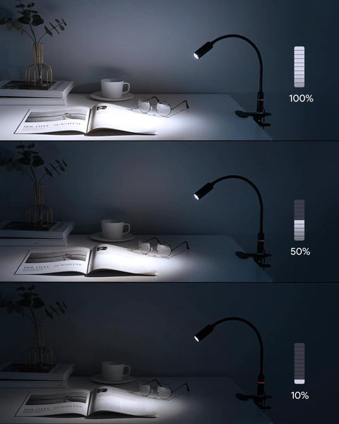 LED Desk Lamp With Clamp For Home Office And Reading, 12 Inch Flexible Gooseneck, Eye Protection USB Light With 10 Brightness Levels