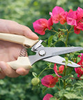 Pruning Shears Set Of Two For Gardening For Flowers Bonsai And Fruit Picking One Straight Blade Ergonomic Grips Cutting Flowers