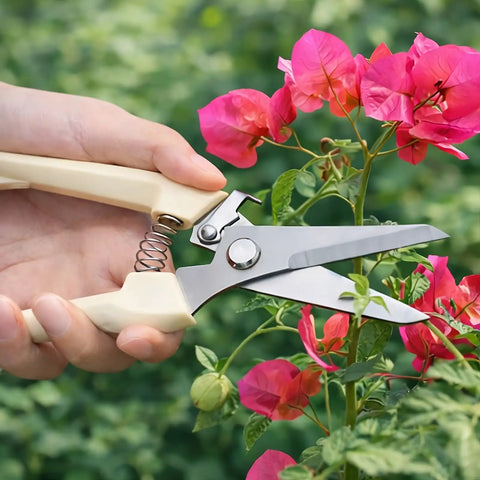 Pruning Shears Set Of Two For Gardening For Flowers Bonsai And Fruit Picking One Straight Blade Ergonomic Grips Cutting Flowers