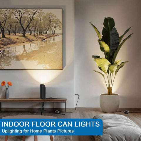 Two Pack Indoor Up Lights 6W 3000K warm white floor can lights with GU10 bulb illuminating artwork and plant, black finish