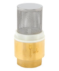 One Inch Brass Foot Valve For Well Pump With Filter Screen And Stainless Steel Check Valve DN25 Bottom Valve