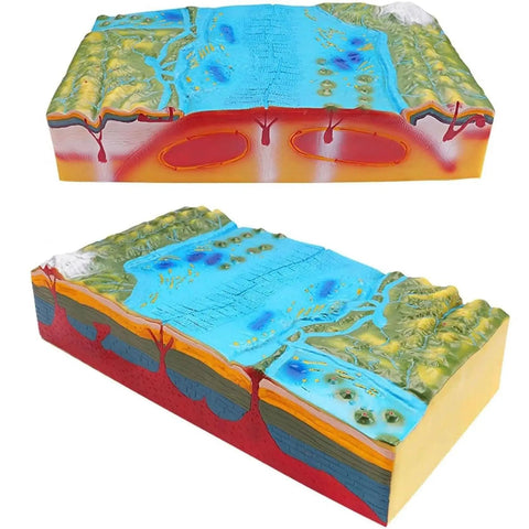 Hands On 3D Plate Tectonics Model And Landform Demonstration Kit For Middle And High School Geography Classes A Practical Geology Teaching Aid. Model showing cross-sections of tectonic plates and landforms for educational use.