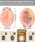 Elongated Toilet Seat Quiet Close for Home Bathroom size specifications with measurements and installation guide.