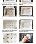 Step-by-step planting method for Vertical Garden Tower Kit For Indoor Outdoor Herb And Vegetable Growth With Hydroponics System.