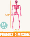 Spooky Hanging 16 Inch Posable Skeleton Set For Halloween Decor, pink skeleton with product dimensions shown